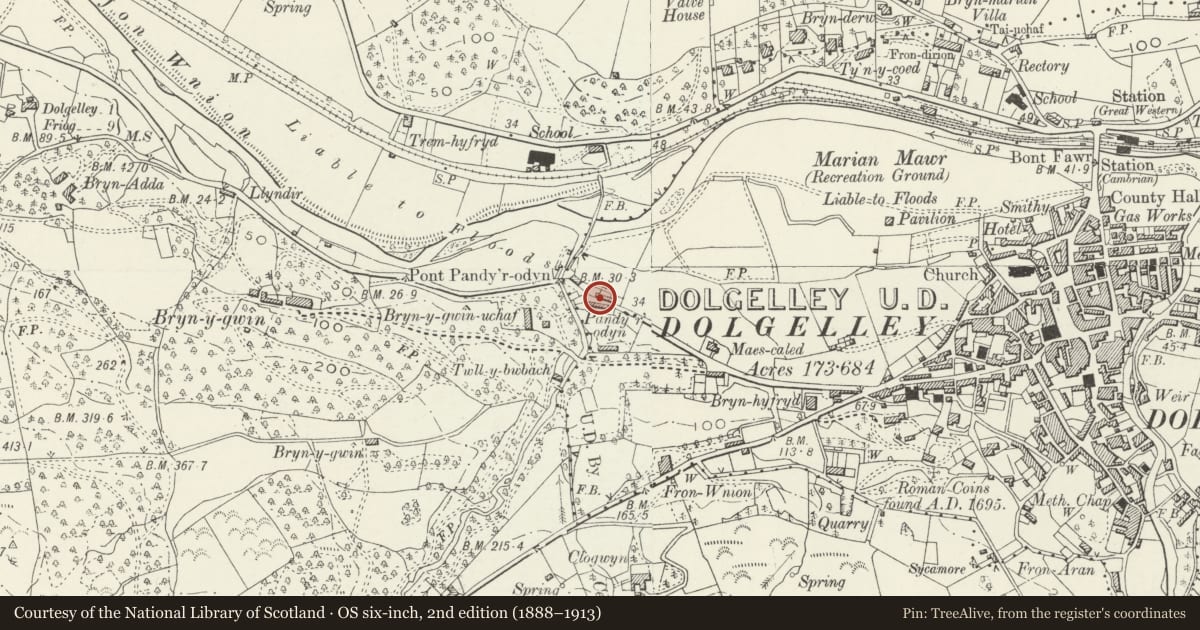 Ordnance Survey six-inch map, 2nd edition (1888–1913) covering the location of Pandy'r-Odyn Cottages, Dolgellau, Gwynedd, with a pin at the register's coordinates
