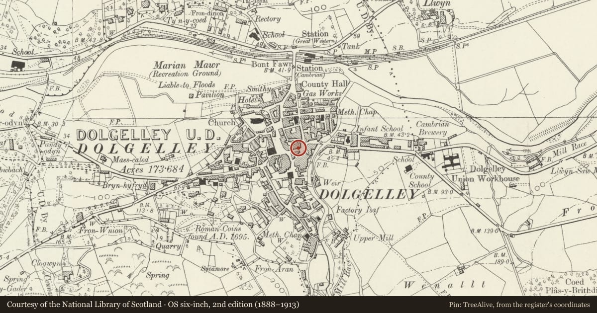 Ordnance Survey six-inch map, 2nd edition (1888–1913) covering the location of Dily's Meredith, Dolgellau, Gwynedd, with a pin at the register's coordinates