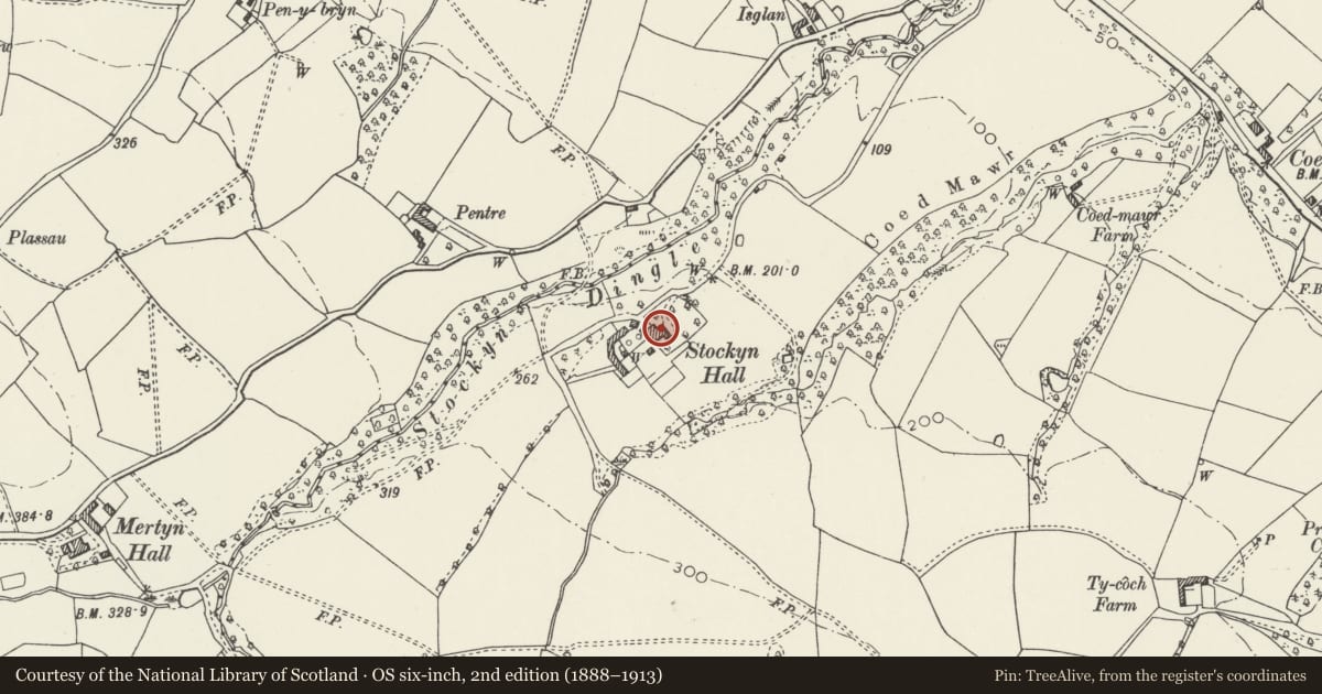 Ordnance Survey six-inch map, 2nd edition (1888–1913) covering the location of Stokyn Hall, Holywell, Flintshire, with a pin at the register's coordinates