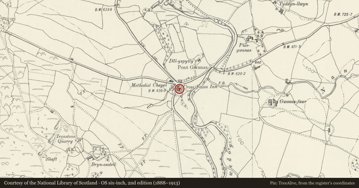Ordnance Survey six-inch map, 2nd edition (1888–1913) covering the location of The Cross Foxes Inn, Dolgellau, Gwynedd, with a pin at the register's coordinates