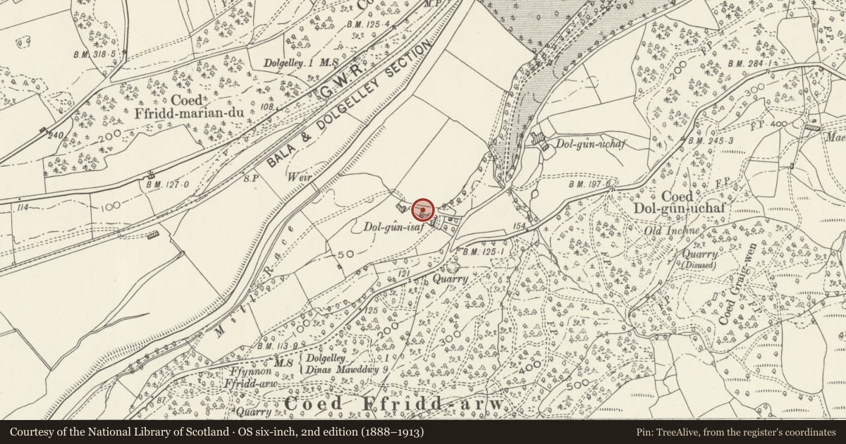 Ordnance Survey six-inch map, 2nd edition (1888–1913) covering the location of Stable at Dolgun Isaf, Dolgellau, Gwynedd, with a pin at the register's coordinates