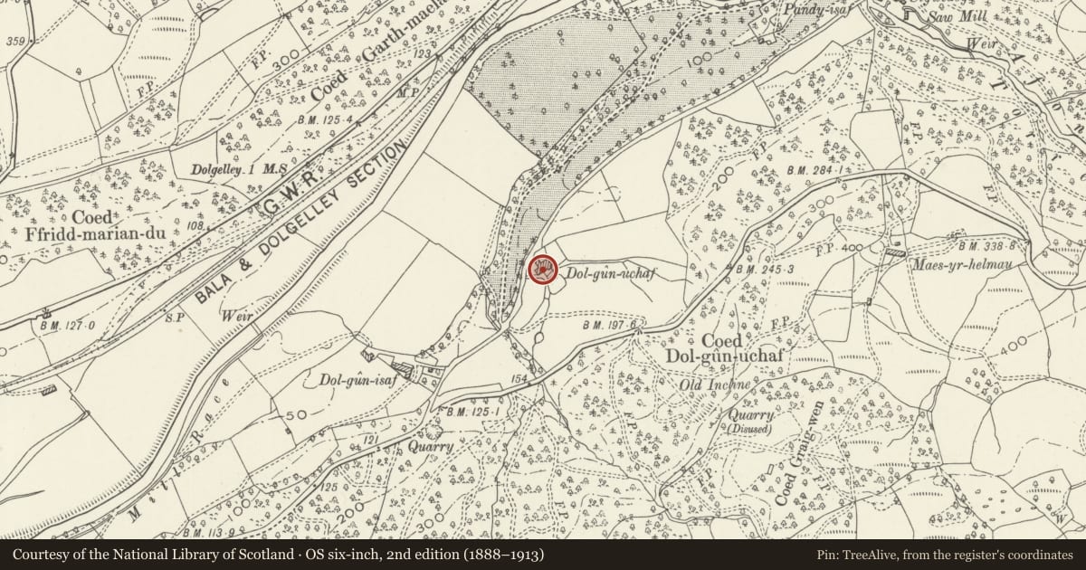 Ordnance Survey six-inch map, 2nd edition (1888–1913) covering the location of Dolgun Uchaf, Dolgellau, Gwynedd, with a pin at the register's coordinates