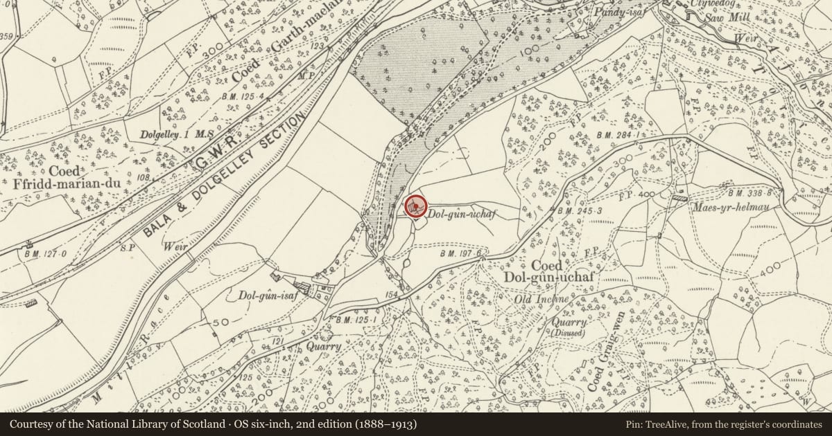 Ordnance Survey six-inch map, 2nd edition (1888–1913) covering the location of Byre at Dolgun Uchaf, Dolgellau, Gwynedd, with a pin at the register's coordinates