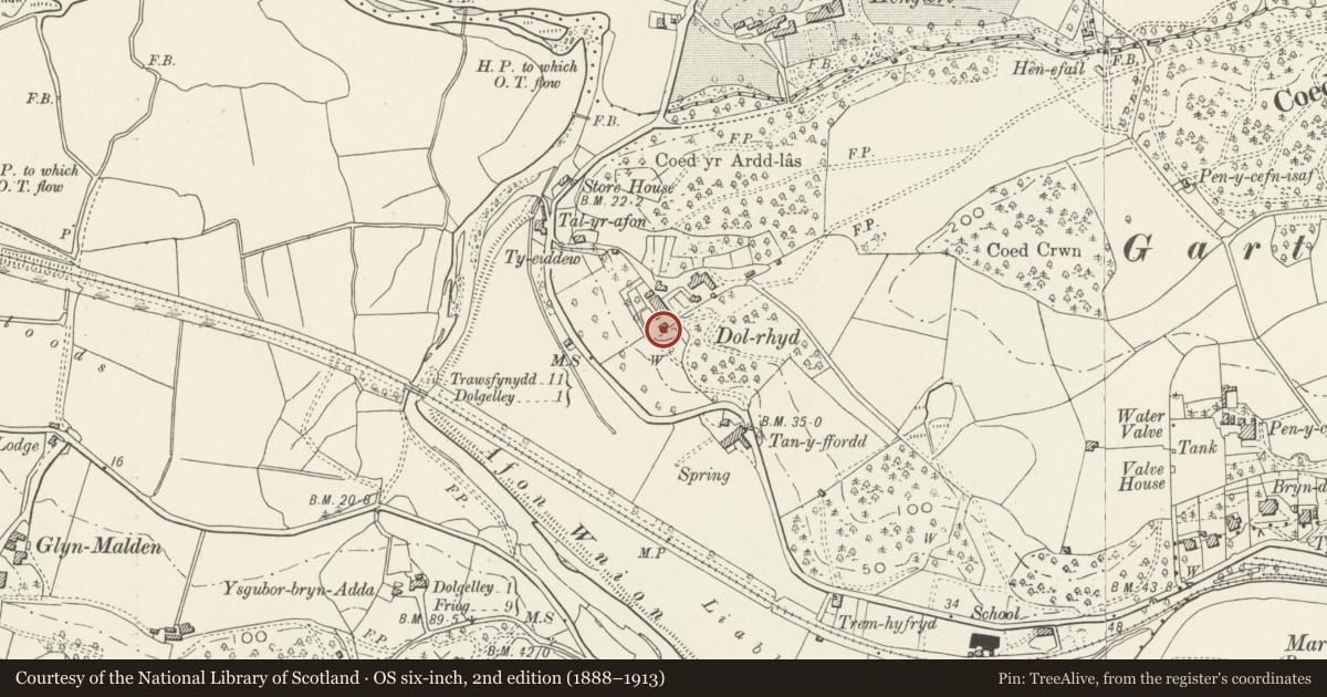 Ordnance Survey six-inch map, 2nd edition (1888–1913) covering the location of Gazebo or Music room at Dolrhyd, Dolgellau, Gwynedd, with a pin at the register's coordinates