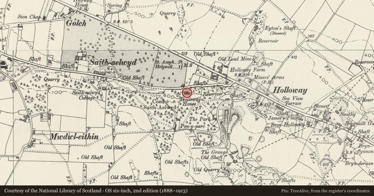 Ordnance Survey six-inch map, 2nd edition (1888–1913) covering the location of Holway House, Holywell, Flintshire, with a pin at the register's coordinates