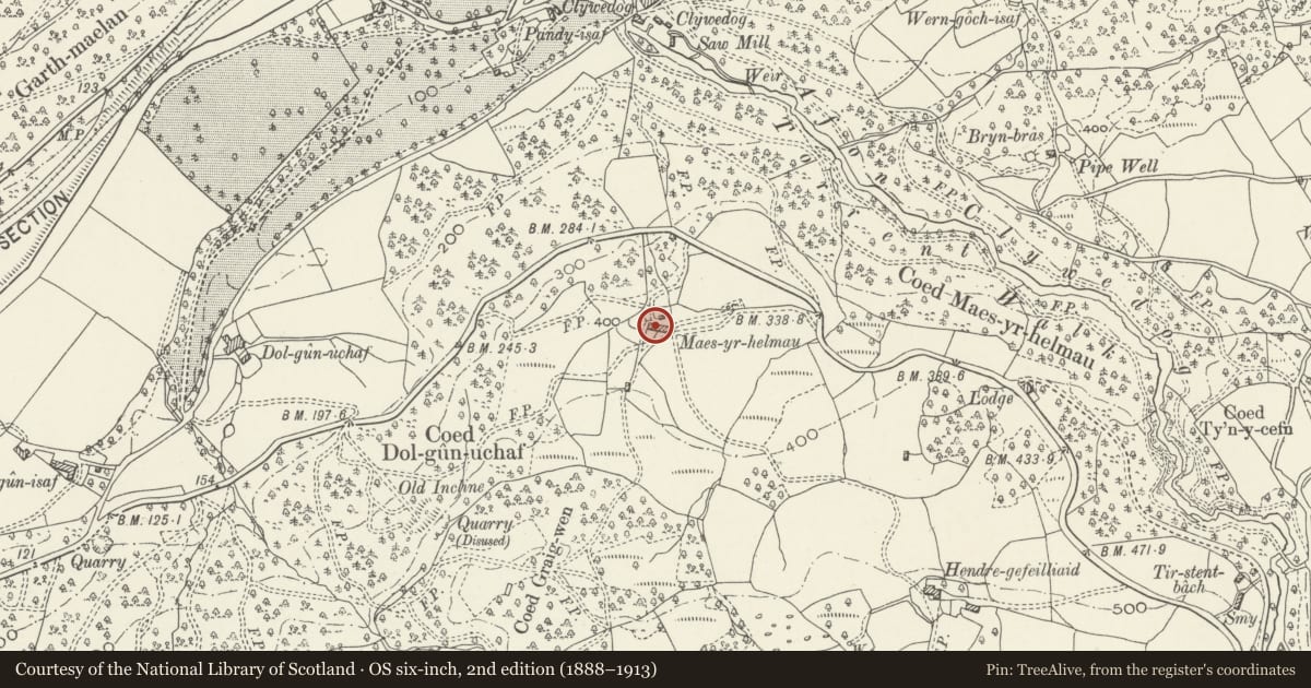 Ordnance Survey six-inch map, 2nd edition (1888–1913) covering the location of Maes-yr-Helmau Farmhouse, Dolgellau, Gwynedd, with a pin at the register's coordinates