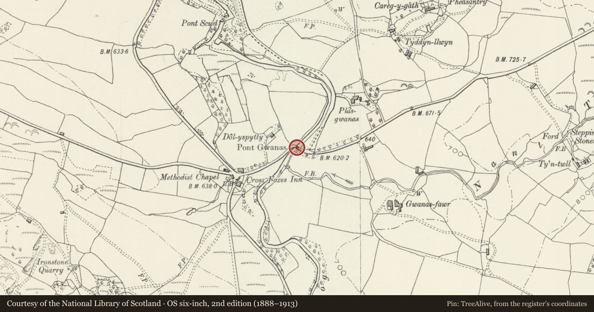 Ordnance Survey six-inch map, 2nd edition (1888–1913) covering the location of Pont Gwanas, Brithdir and Llanfachreth, Gwynedd, with a pin at the register's coordinates