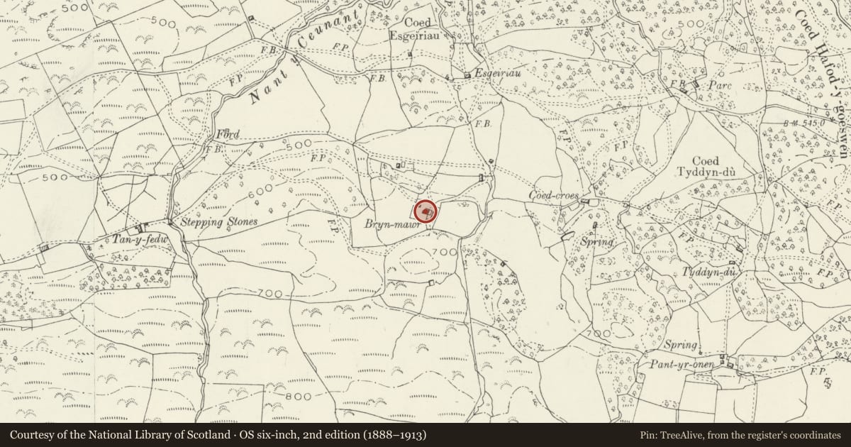 Ordnance Survey six-inch map, 2nd edition (1888–1913) covering the location of Bryn Mawr Farmhouse, Dolgellau, Gwynedd, with a pin at the register's coordinates