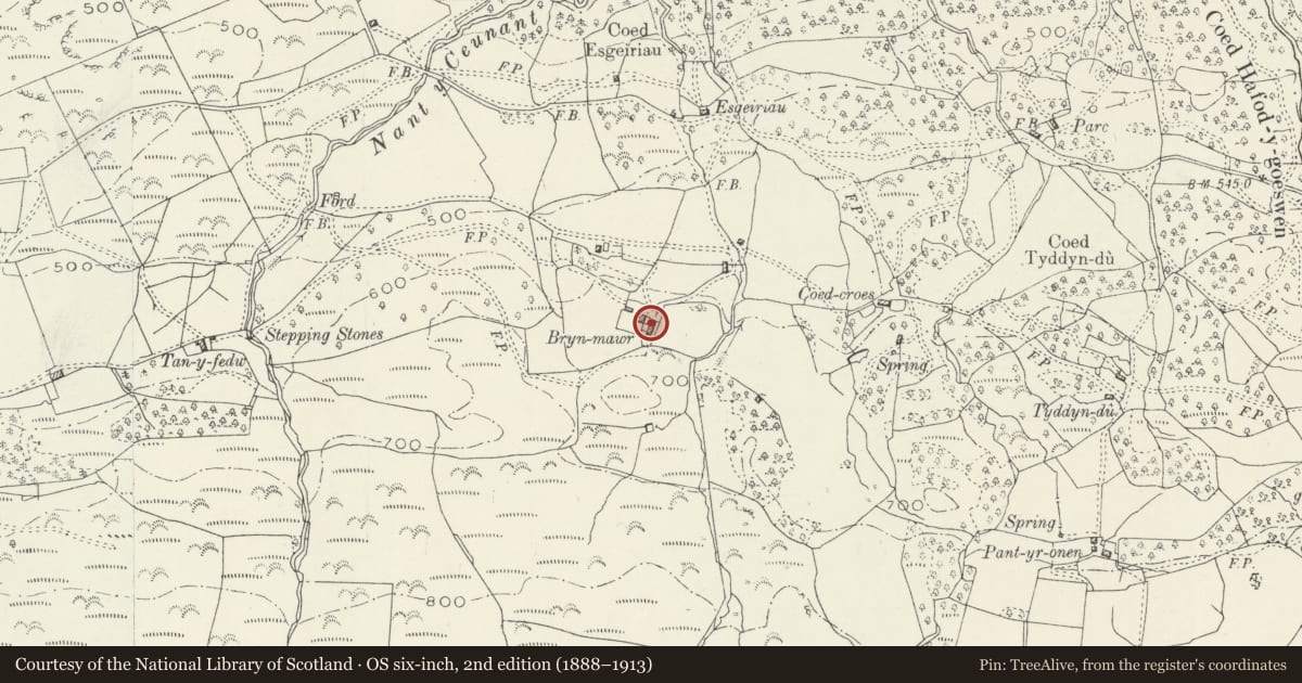 Ordnance Survey six-inch map, 2nd edition (1888–1913) covering the location of Dower House at Bryn Mawr, Dolgellau, Gwynedd, with a pin at the register's coordinates