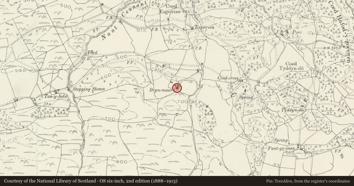 Ordnance Survey six-inch map, 2nd edition (1888–1913) covering the location of Cowhouse to S. of Bryn Mawr, Dolgellau, Gwynedd, with a pin at the register's coordinates