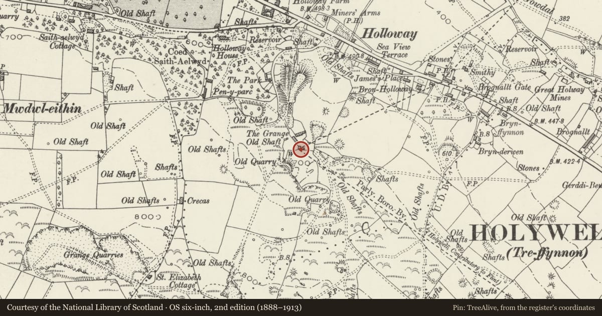 Ordnance Survey six-inch map, 2nd edition (1888–1913) covering the location of Agricultural Range to south side of the Framyard at the Grange, Holywell, Flintshire, with a pin at the register's coordinates
