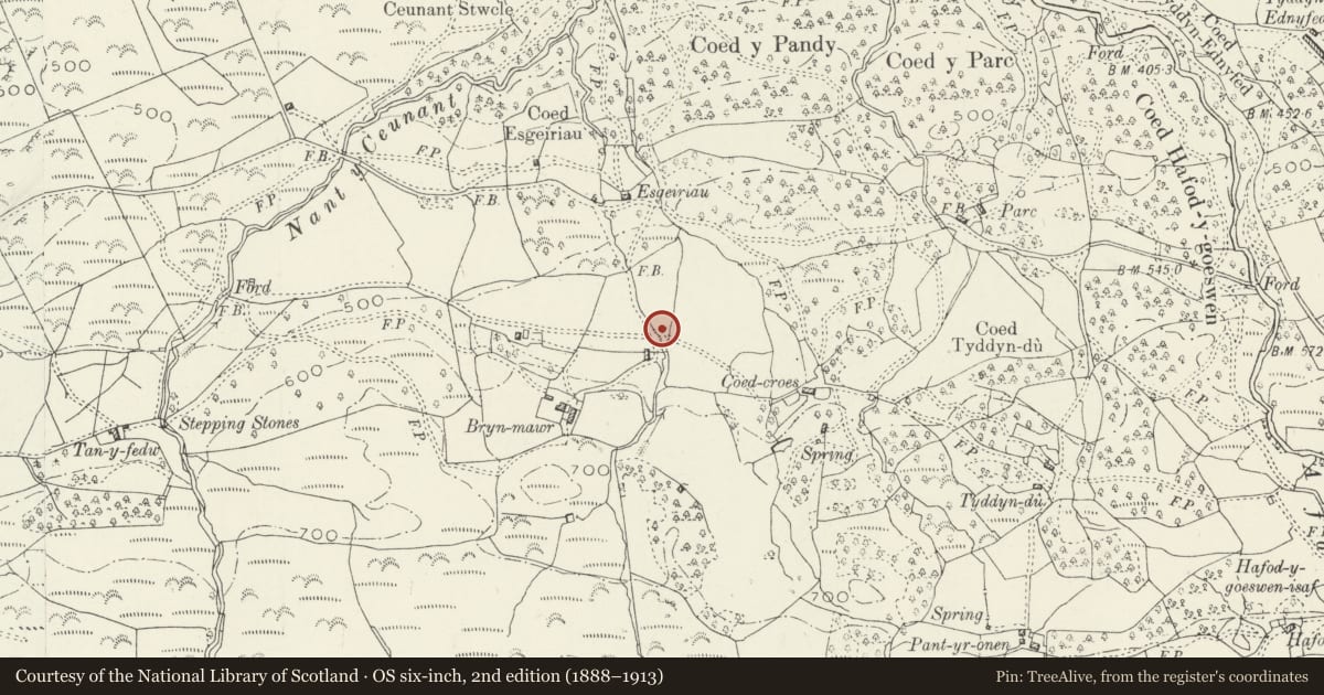 Ordnance Survey six-inch map, 2nd edition (1888–1913) covering the location of Field Barn at Bryn Mawr, Dolgellau, Gwynedd, with a pin at the register's coordinates