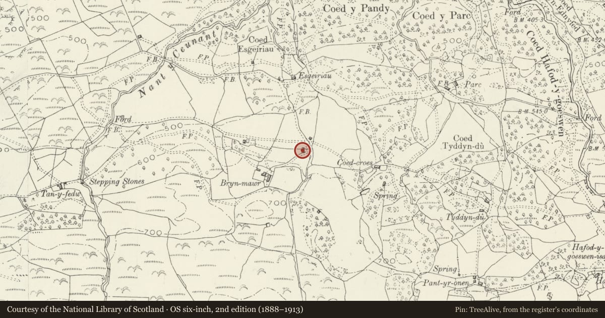 Ordnance Survey six-inch map, 2nd edition (1888–1913) covering the location of Field Barn at Bryn Mawr, Dolgellau, Gwynedd, with a pin at the register's coordinates