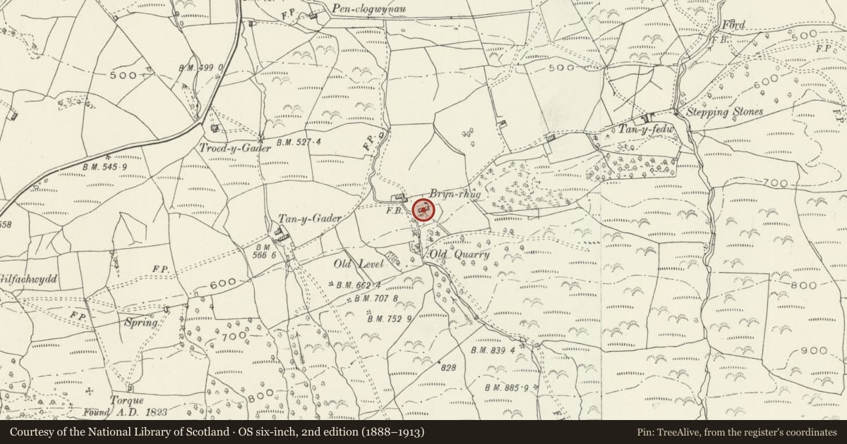 Ordnance Survey six-inch map, 2nd edition (1888–1913) covering the location of Brynrhug Farmhouse, Dolgellau, Gwynedd, with a pin at the register's coordinates