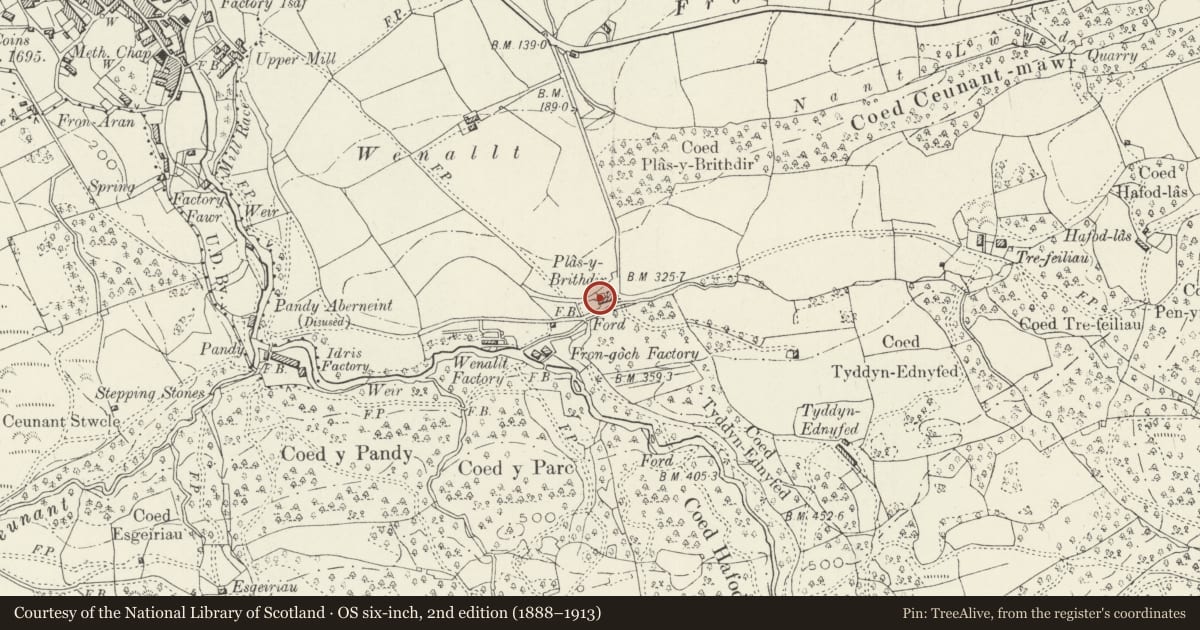 Ordnance Survey six-inch map, 2nd edition (1888–1913) covering the location of Plas-y-Brithdir Farmhouse, Dolgellau, Gwynedd, with a pin at the register's coordinates