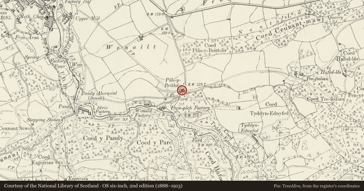 Ordnance Survey six-inch map, 2nd edition (1888–1913) covering the location of Cartshed with Granary at Plas-y-Brithdir, Dolgellau, Gwynedd, with a pin at the register's coordinates
