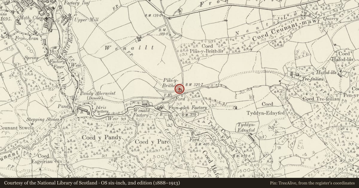 Ordnance Survey six-inch map, 2nd edition (1888–1913) covering the location of Stables at Plas-y-Brithdir, Dolgellau, Gwynedd, with a pin at the register's coordinates