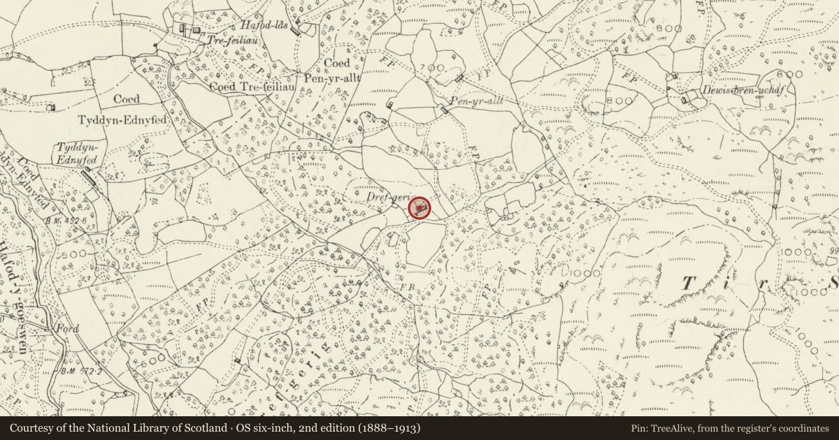 Ordnance Survey six-inch map, 2nd edition (1888–1913) covering the location of Dref Cerrig Farmhouse, Dolgellau, Gwynedd, with a pin at the register's coordinates