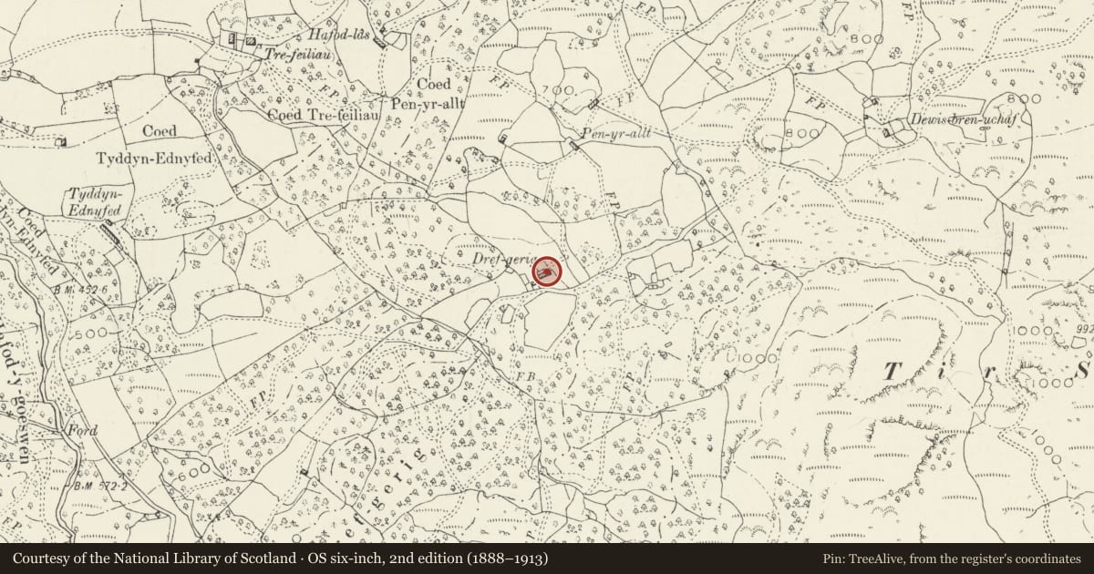 Ordnance Survey six-inch map, 2nd edition (1888–1913) covering the location of Stable at Dref Cerrig Farm, Dolgellau, Gwynedd, with a pin at the register's coordinates
