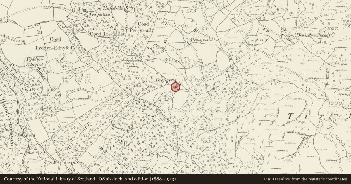 Ordnance Survey six-inch map, 2nd edition (1888–1913) covering the location of Barn at Dref Cerrig Farm, Dolgellau, Gwynedd, with a pin at the register's coordinates
