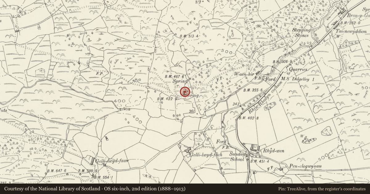 Ordnance Survey six-inch map, 2nd edition (1888–1913) covering the location of Graig Farmhouse, Dolgellau, Gwynedd, with a pin at the register's coordinates