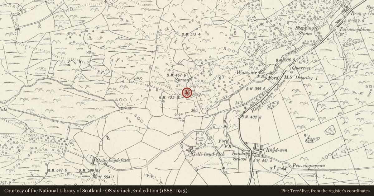 Ordnance Survey six-inch map, 2nd edition (1888–1913) covering the location of Cowhouse attached to Graig Farmhouse, Dolgellau, Gwynedd, with a pin at the register's coordinates