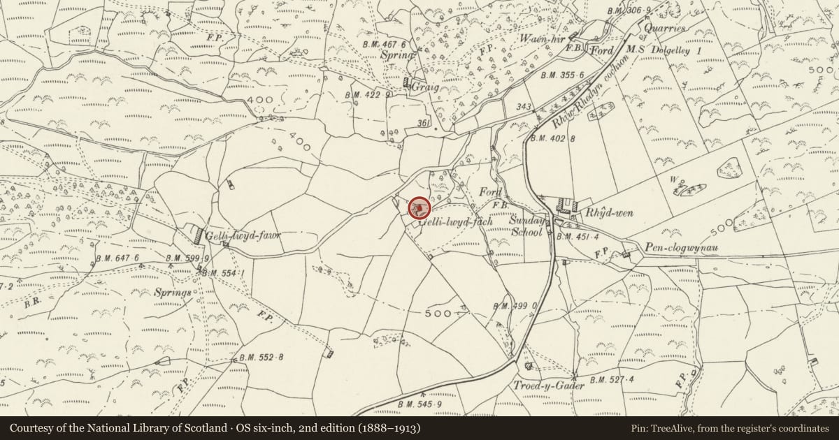 Ordnance Survey six-inch map, 2nd edition (1888–1913) covering the location of Gelliwyd Fach Farmhouse, Dolgellau, Gwynedd, with a pin at the register's coordinates