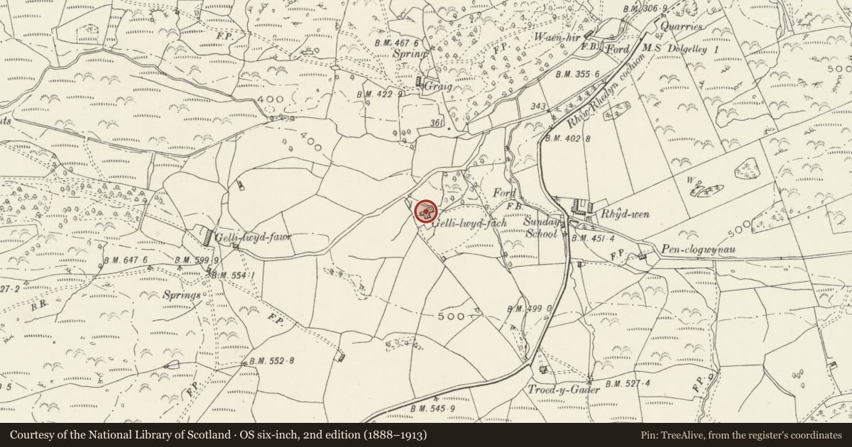 Ordnance Survey six-inch map, 2nd edition (1888–1913) covering the location of Stables adjoining Gellilwyd Fach Farmhouse, Dolgellau, Gwynedd, with a pin at the register's coordinates