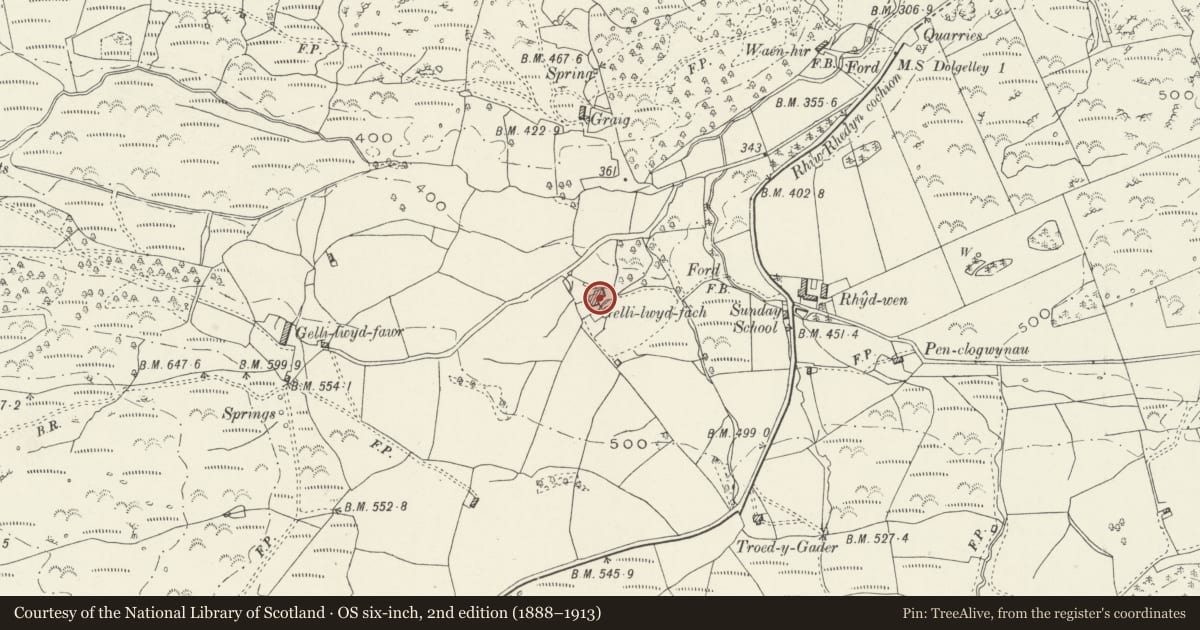 Ordnance Survey six-inch map, 2nd edition (1888–1913) covering the location of Cartshed at Gellilwyd Fach Farmhouse, Dolgellau, Gwynedd, with a pin at the register's coordinates