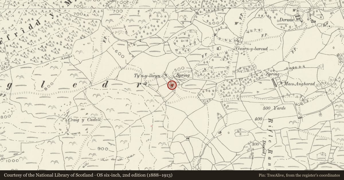 Ordnance Survey six-inch map, 2nd edition (1888–1913) covering the location of Ty'n Llwyn Farmhouse, Dolgellau, Gwynedd, with a pin at the register's coordinates