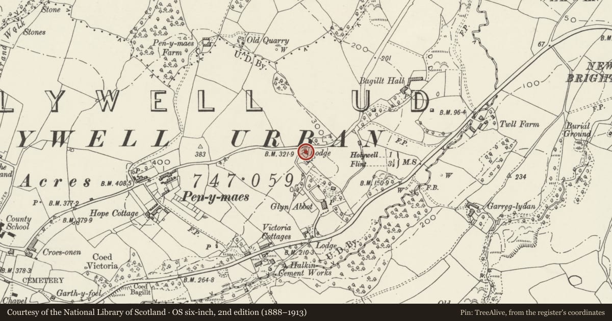 Ordnance Survey six-inch map, 2nd edition (1888–1913) covering the location of The Mount, Holywell, Flintshire, with a pin at the register's coordinates