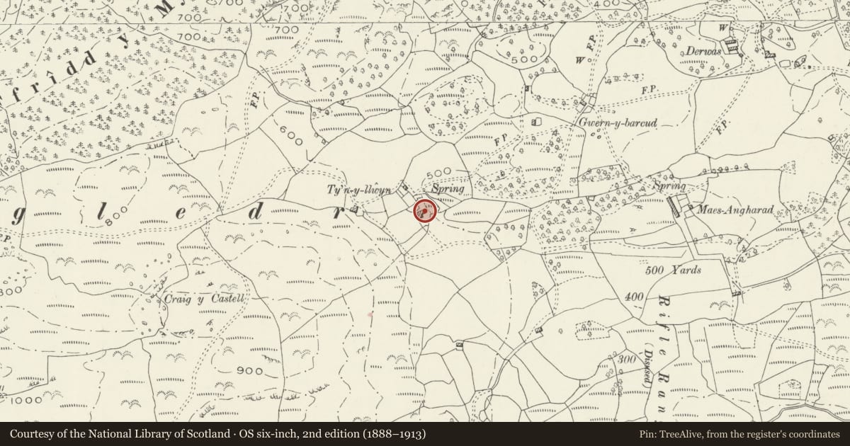 Ordnance Survey six-inch map, 2nd edition (1888–1913) covering the location of Stables attached to Ty'n Llwyn Farmhouse, Dolgellau, Gwynedd, with a pin at the register's coordinates