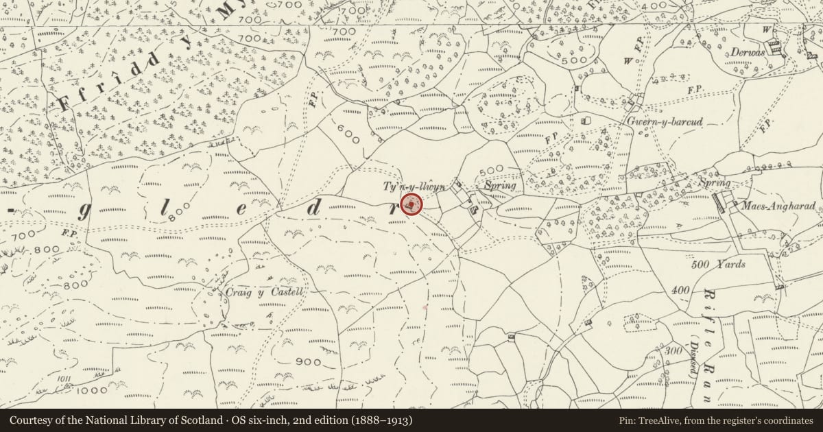 Ordnance Survey six-inch map, 2nd edition (1888–1913) covering the location of Field Barn at Ty'n Llwyn Farmhouse, Dolgellau, Gwynedd, with a pin at the register's coordinates