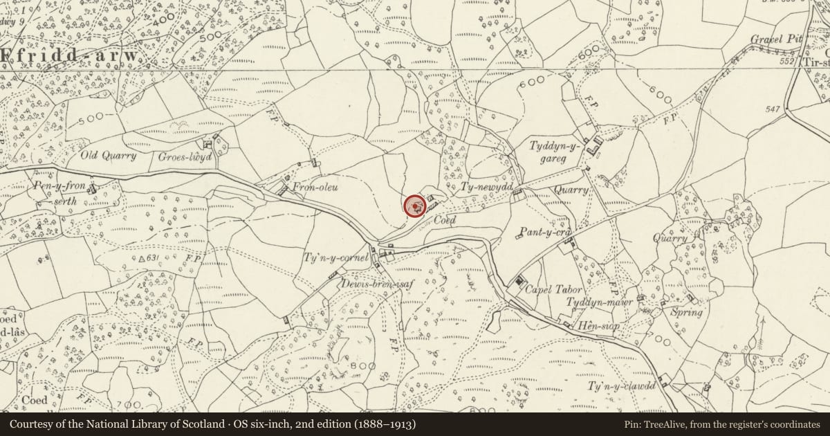 Ordnance Survey six-inch map, 2nd edition (1888–1913) covering the location of Coed Fron Serth, Dolgellau, Gwynedd, with a pin at the register's coordinates
