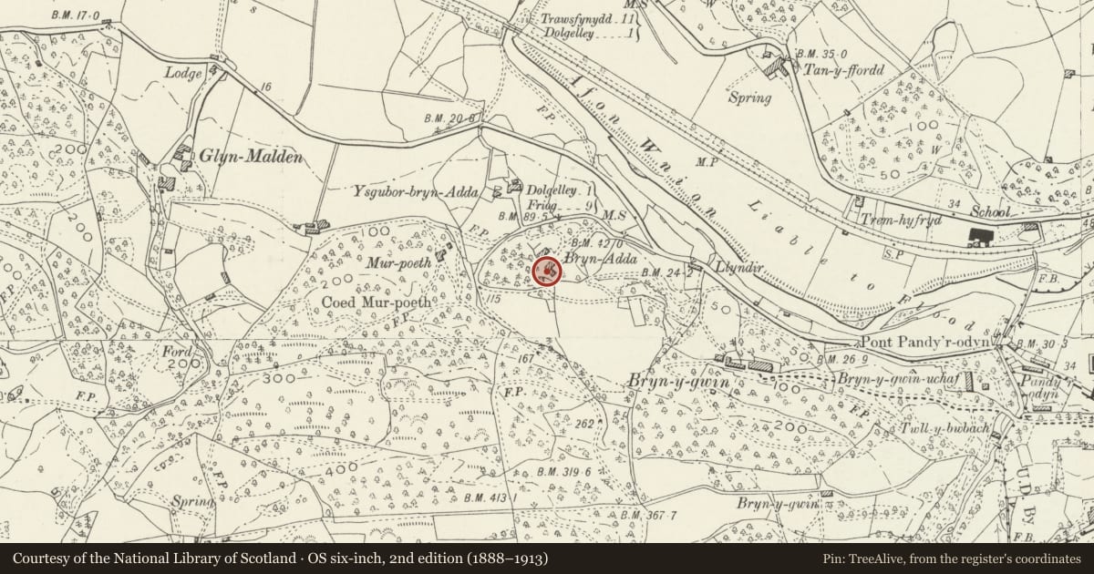 Ordnance Survey six-inch map, 2nd edition (1888–1913) covering the location of Brynadda, Dolgellau, Gwynedd, with a pin at the register's coordinates