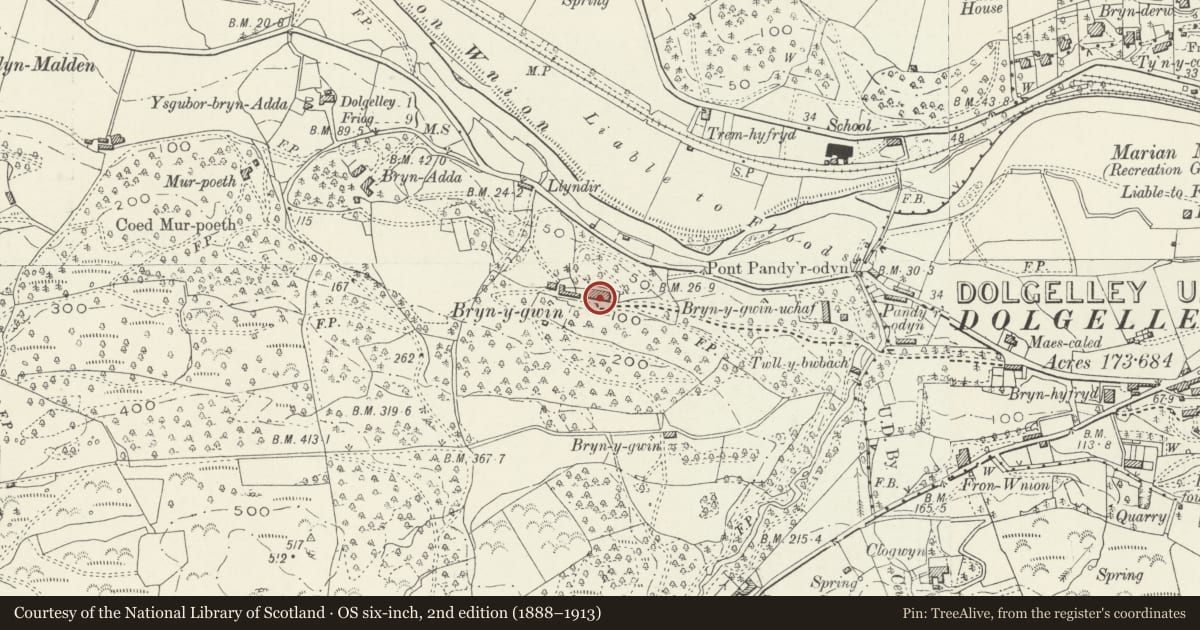 Ordnance Survey six-inch map, 2nd edition (1888–1913) covering the location of Bryn-y-Gwin (Bryn-y-Gwin Isaf), Dolgellau, Gwynedd, with a pin at the register's coordinates