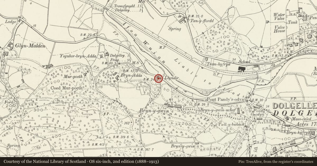 Ordnance Survey six-inch map, 2nd edition (1888–1913) covering the location of Llyndir, Dolgellau, Gwynedd, with a pin at the register's coordinates