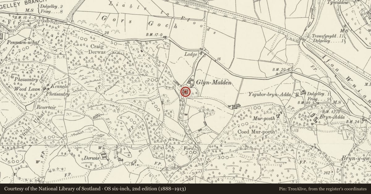 Ordnance Survey six-inch map, 2nd edition (1888–1913) covering the location of Glyn Malden, Dolgellau, Gwynedd, with a pin at the register's coordinates