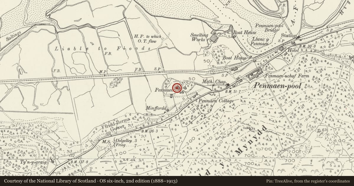 Ordnance Survey six-inch map, 2nd edition (1888–1913) covering the location of Penamen House, Dolgellau, Gwynedd, with a pin at the register's coordinates