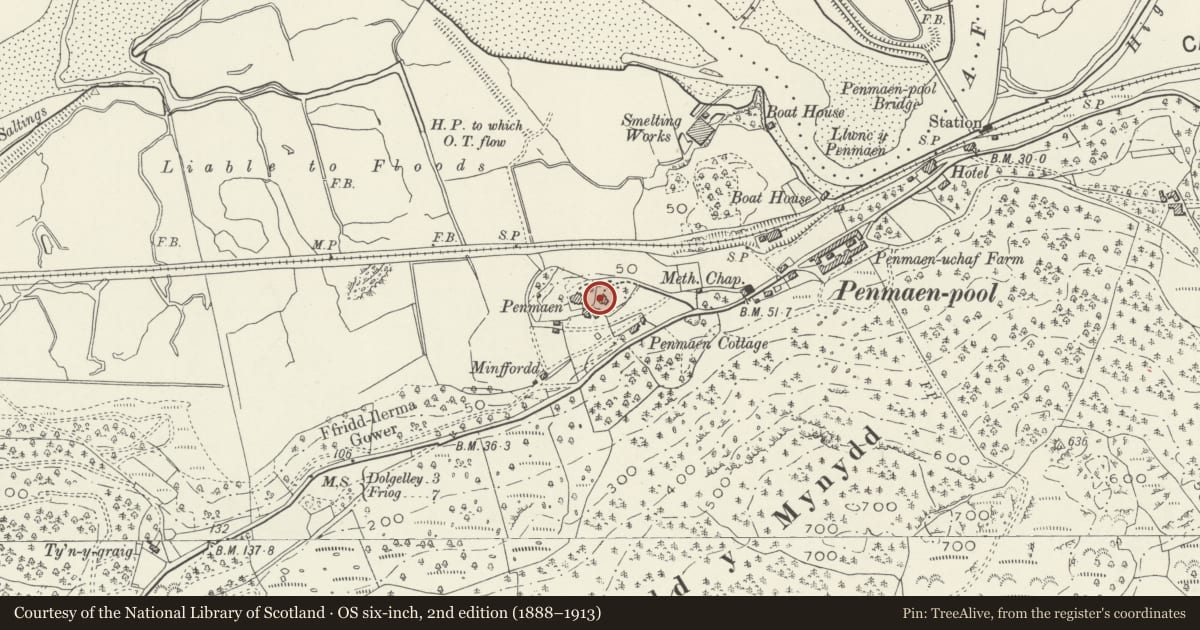 Ordnance Survey six-inch map, 2nd edition (1888–1913) covering the location of Coach House at Penamen House, Dolgellau, Gwynedd, with a pin at the register's coordinates