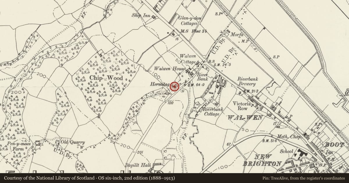 Ordnance Survey six-inch map, 2nd edition (1888–1913) covering the location of The Woodlands, Holywell, Flintshire, with a pin at the register's coordinates