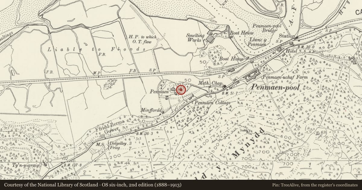 Ordnance Survey six-inch map, 2nd edition (1888–1913) covering the location of Stables at Penamen House, Dolgellau, Gwynedd, with a pin at the register's coordinates