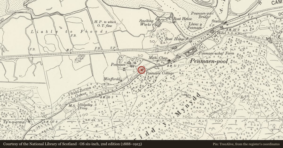 Ordnance Survey six-inch map, 2nd edition (1888–1913) covering the location of Old Cottage at Penamen House, Dolgellau, Gwynedd, with a pin at the register's coordinates