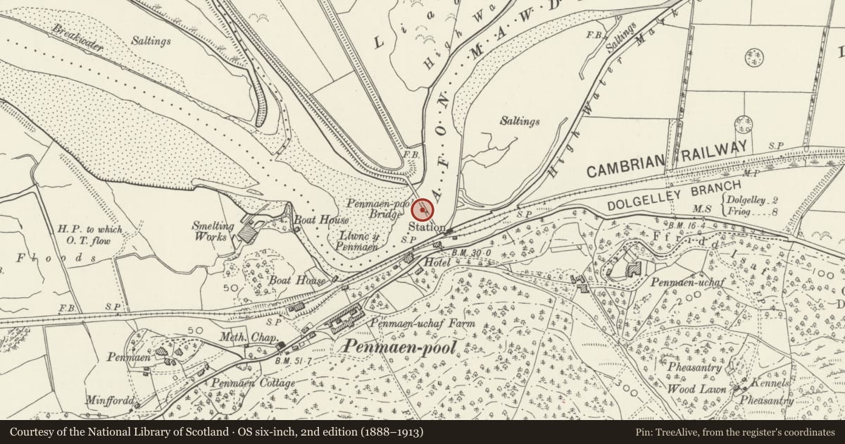 Ordnance Survey six-inch map, 2nd edition (1888–1913) covering the location of Penamenpool Bridge, Dolgellau, Gwynedd, with a pin at the register's coordinates