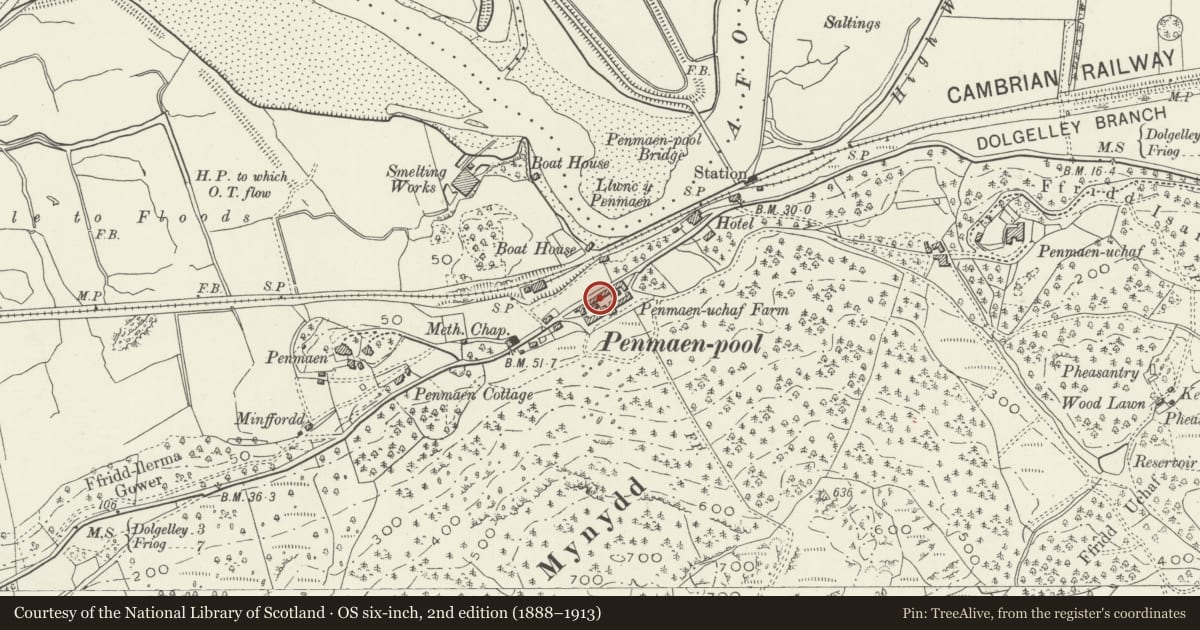 Ordnance Survey six-inch map, 2nd edition (1888–1913) covering the location of Penamen Ucha Farm, Model Farmyard, Dolgellau, Gwynedd, with a pin at the register's coordinates