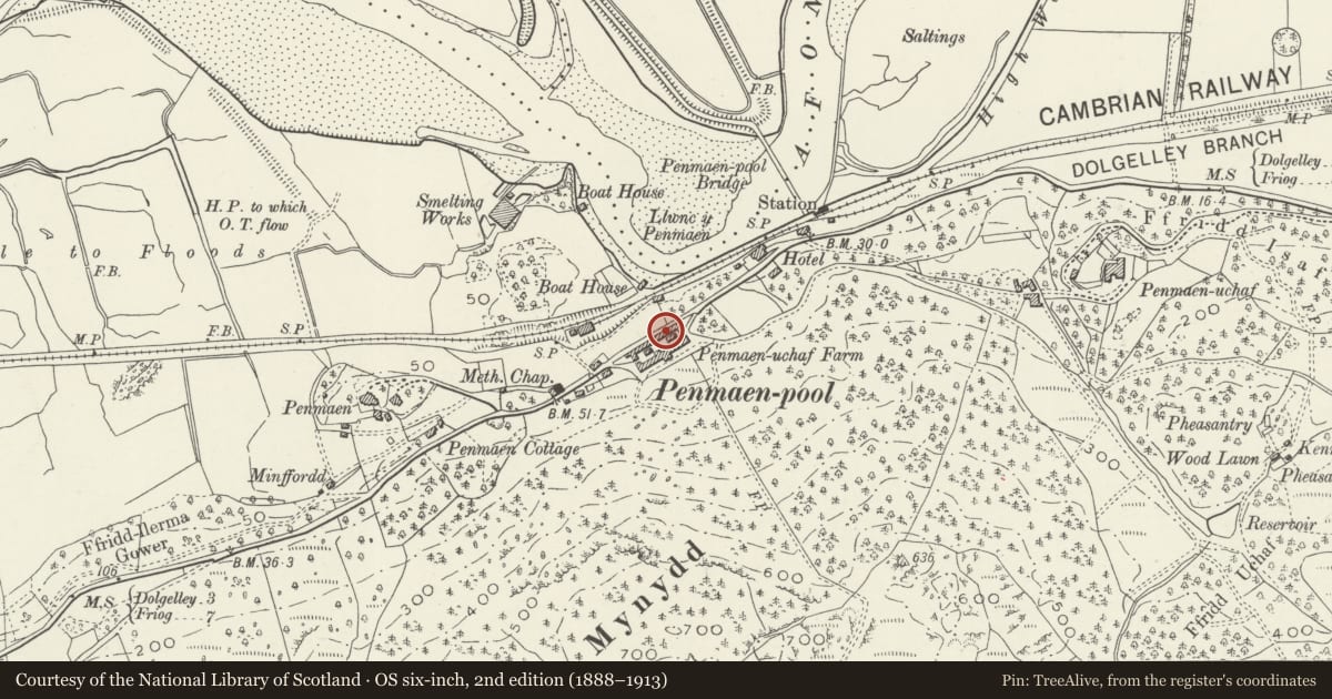 Ordnance Survey six-inch map, 2nd edition (1888–1913) covering the location of Penamen Ucha Farm, Model Farmyard, Dolgellau, Gwynedd, with a pin at the register's coordinates