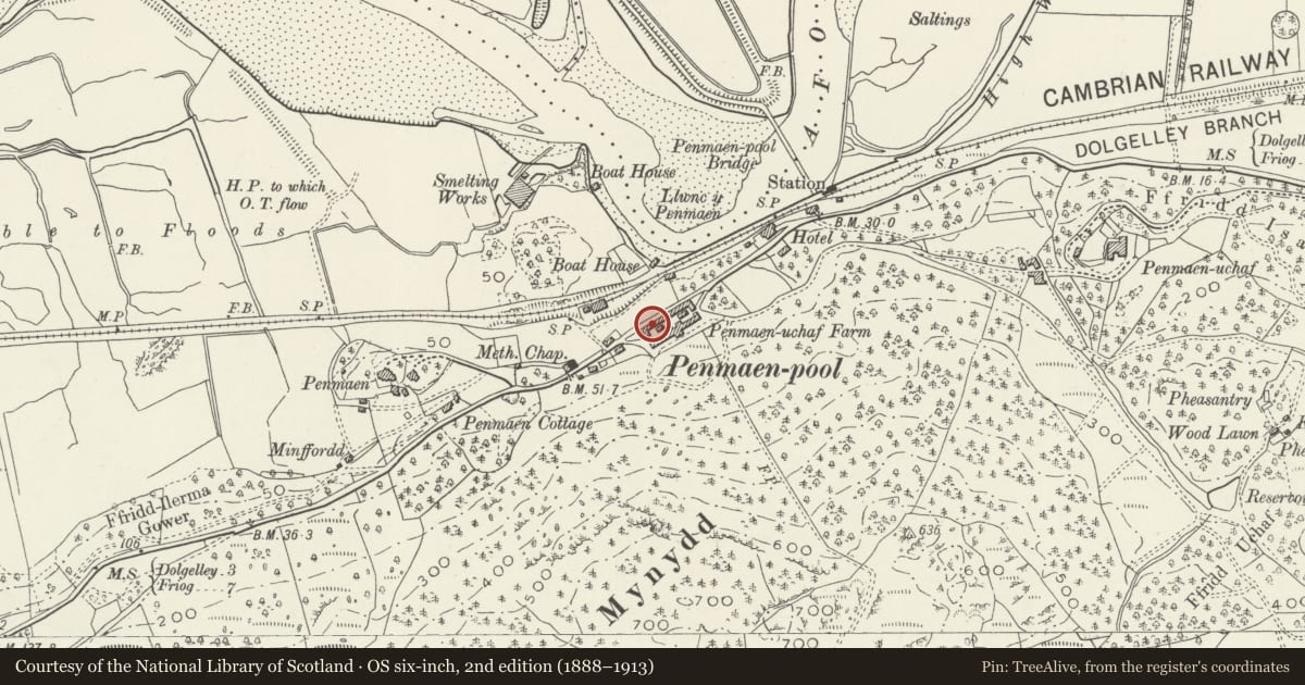 Ordnance Survey six-inch map, 2nd edition (1888–1913) covering the location of Penamen Ucha Farm, Model Farmyard, Dolgellau, Gwynedd, with a pin at the register's coordinates