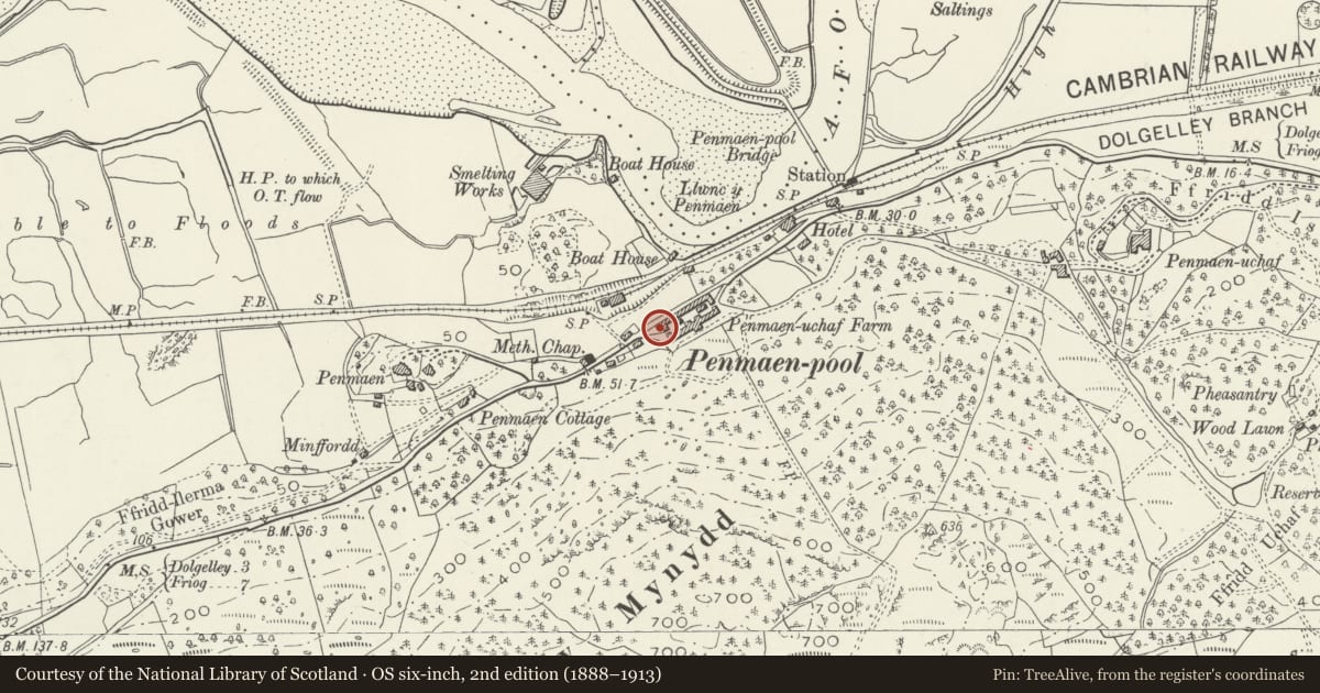 Ordnance Survey six-inch map, 2nd edition (1888–1913) covering the location of Penamen Ucha Farm, Model Farmyard, Dolgellau, Gwynedd, with a pin at the register's coordinates