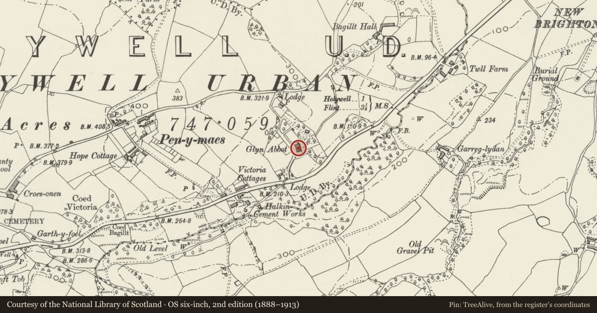 Ordnance Survey six-inch map, 2nd edition (1888–1913) covering the location of Glyn Abbot, Holywell, Flintshire, with a pin at the register's coordinates
