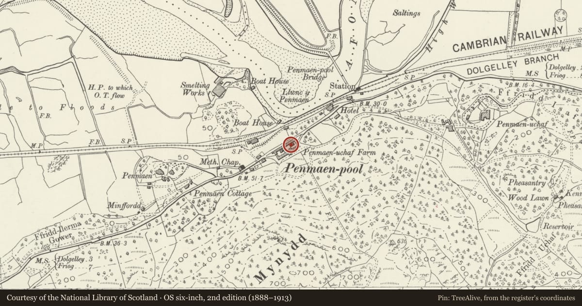 Ordnance Survey six-inch map, 2nd edition (1888–1913) covering the location of Penamen Ucha Farm, Model Farmyard, Dolgellau, Gwynedd, with a pin at the register's coordinates